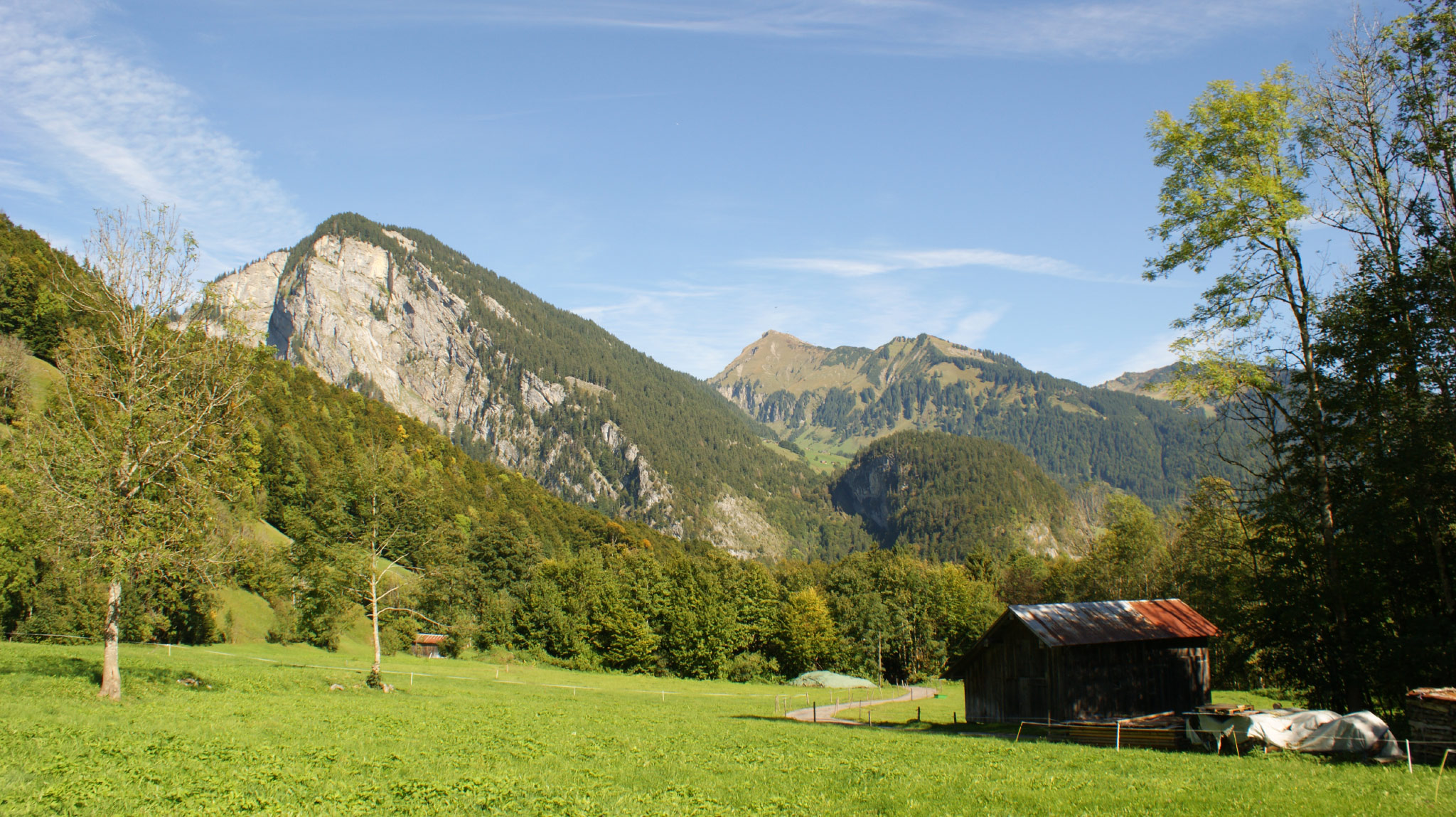 Mittagsfluh-Diedamskopf, Au